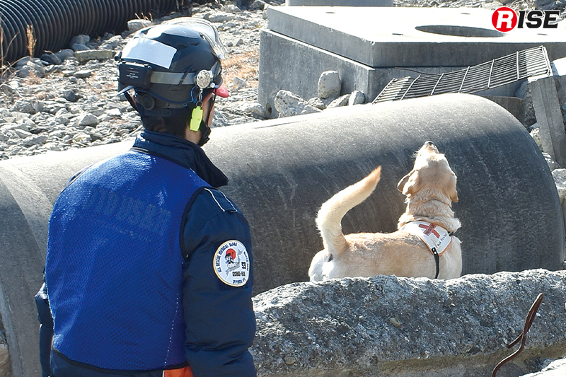 現場を共にする災害救助犬について学ぶ。