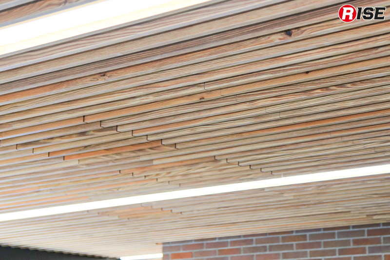 天井には木材を使用し、温かみのある空間を演出。